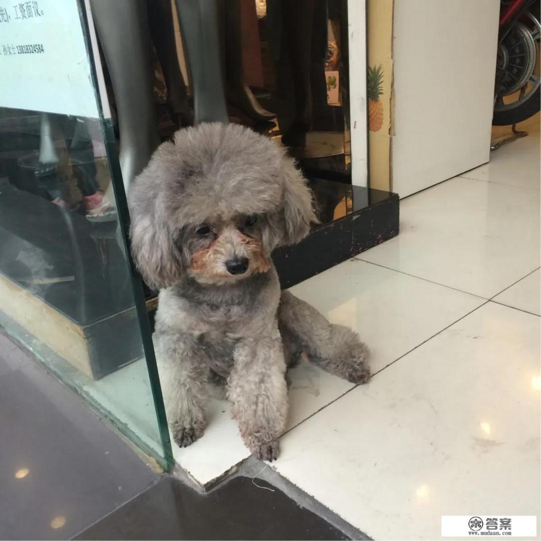 给老板工作，只能无条件服从老板各种要求，不能有任何拒绝是正常的吗？