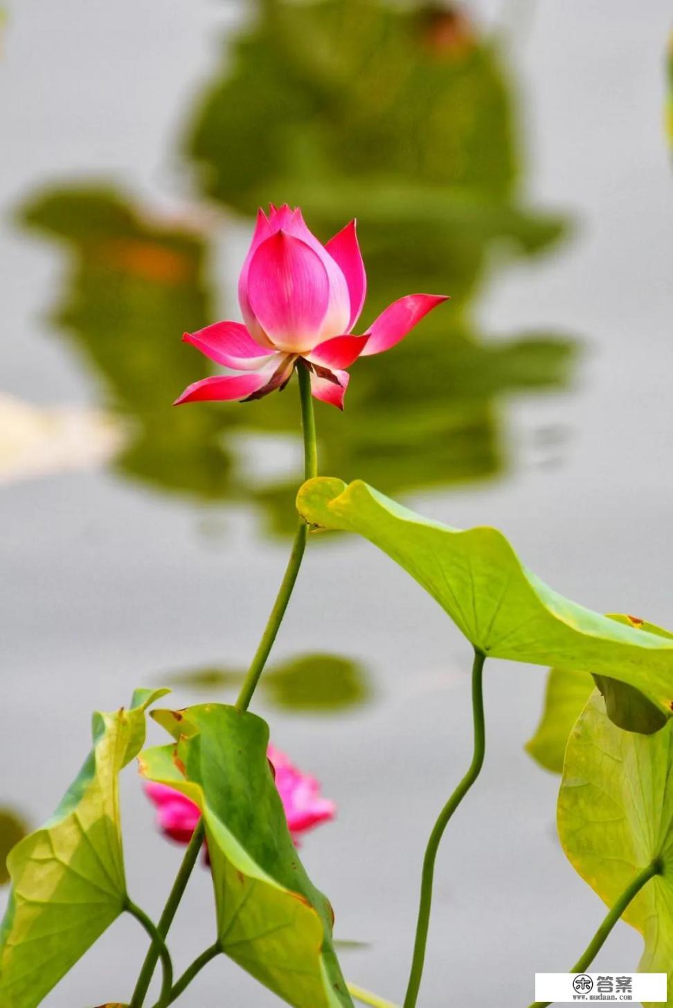 教师资格证面试结构化题目:老师穿着时髦,同学们夸性感,应该怎么回答?