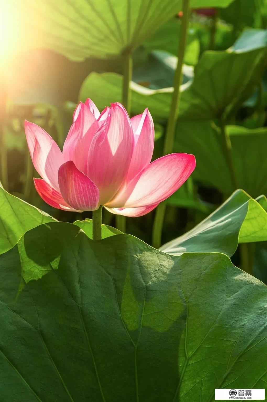 教师资格证面试结构化题目:老师穿着时髦,同学们夸性感,应该怎么回答？