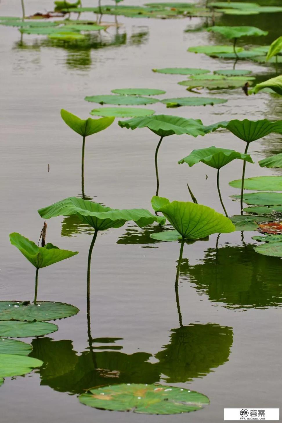 教师资格证面试结构化题目:老师穿着时髦,同学们夸性感,应该怎么回答？