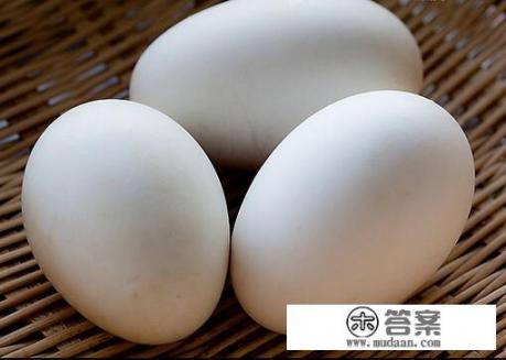 孕妇能吃鹅蛋吗？