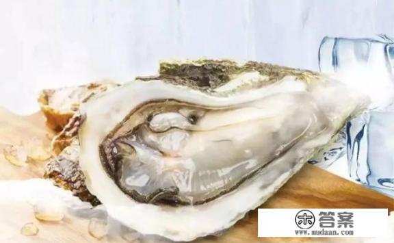 香螺猫眼螺海蛎子区别