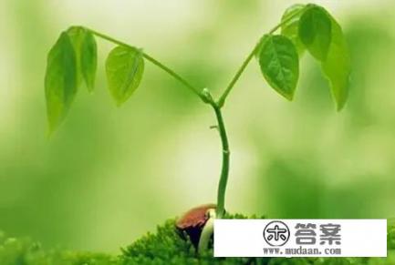 大家觉得男生做美容行业前景怎么样？