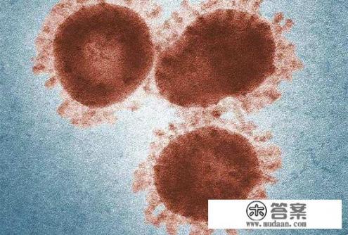 ICU收治的新冠重症患者的存活率如何？