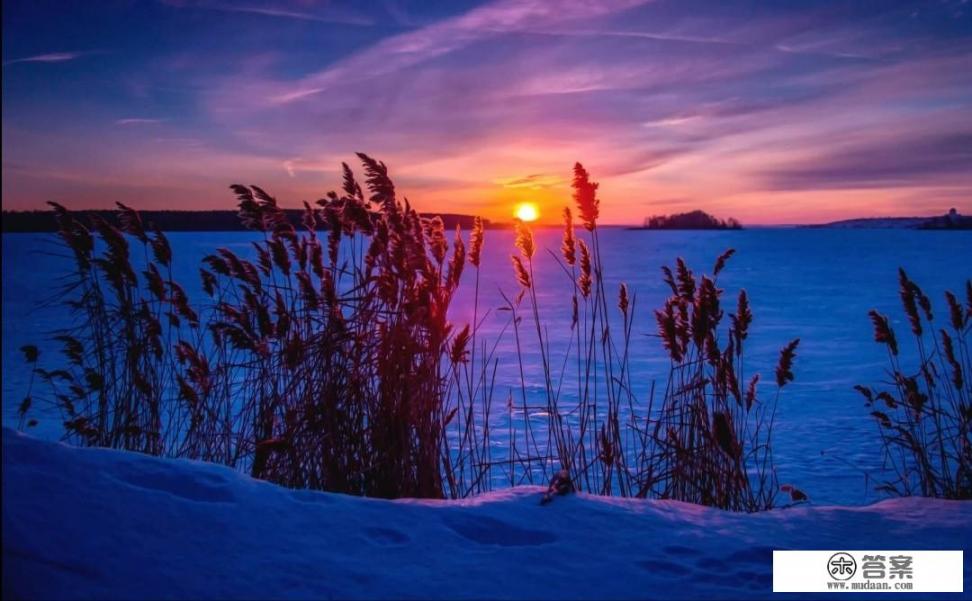 企业立冬发朋友圈的句子？