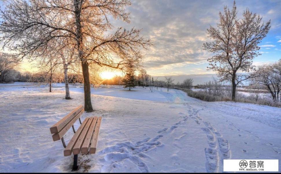 企业立冬发朋友圈的句子？