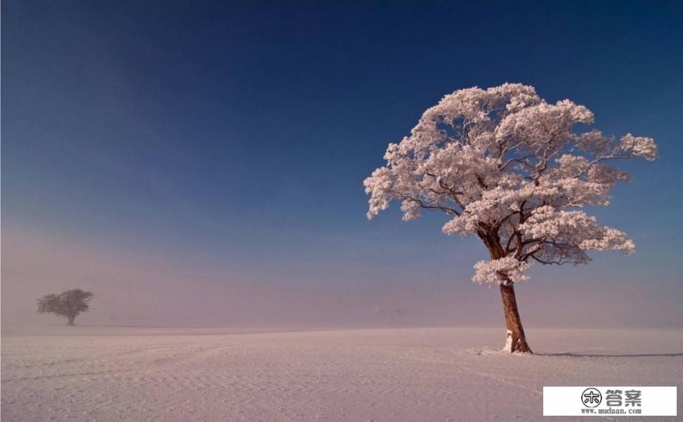 企业立冬发朋友圈的句子？