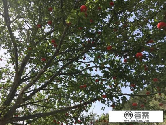 夏天去哪里旅游好，有哪些地方适合夏天去玩？