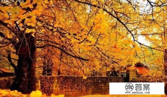 过年到哪旅游比较好,哪里的景色宜人,适合冬季旅游? 过年到哪旅游比较好,哪里的景色宜人,适合冬季旅游?