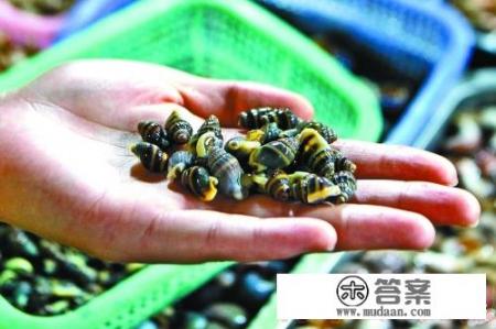 不能吃海鲜是指哪些？