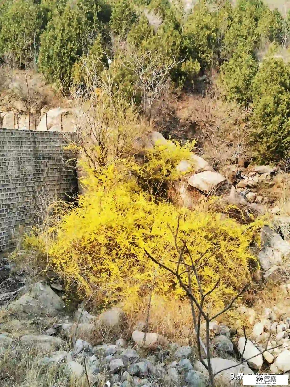 北京疫情期间的4月份,可以去哪里自驾游玩? 北京疫情期间的4月份,可以去哪里自驾游玩?