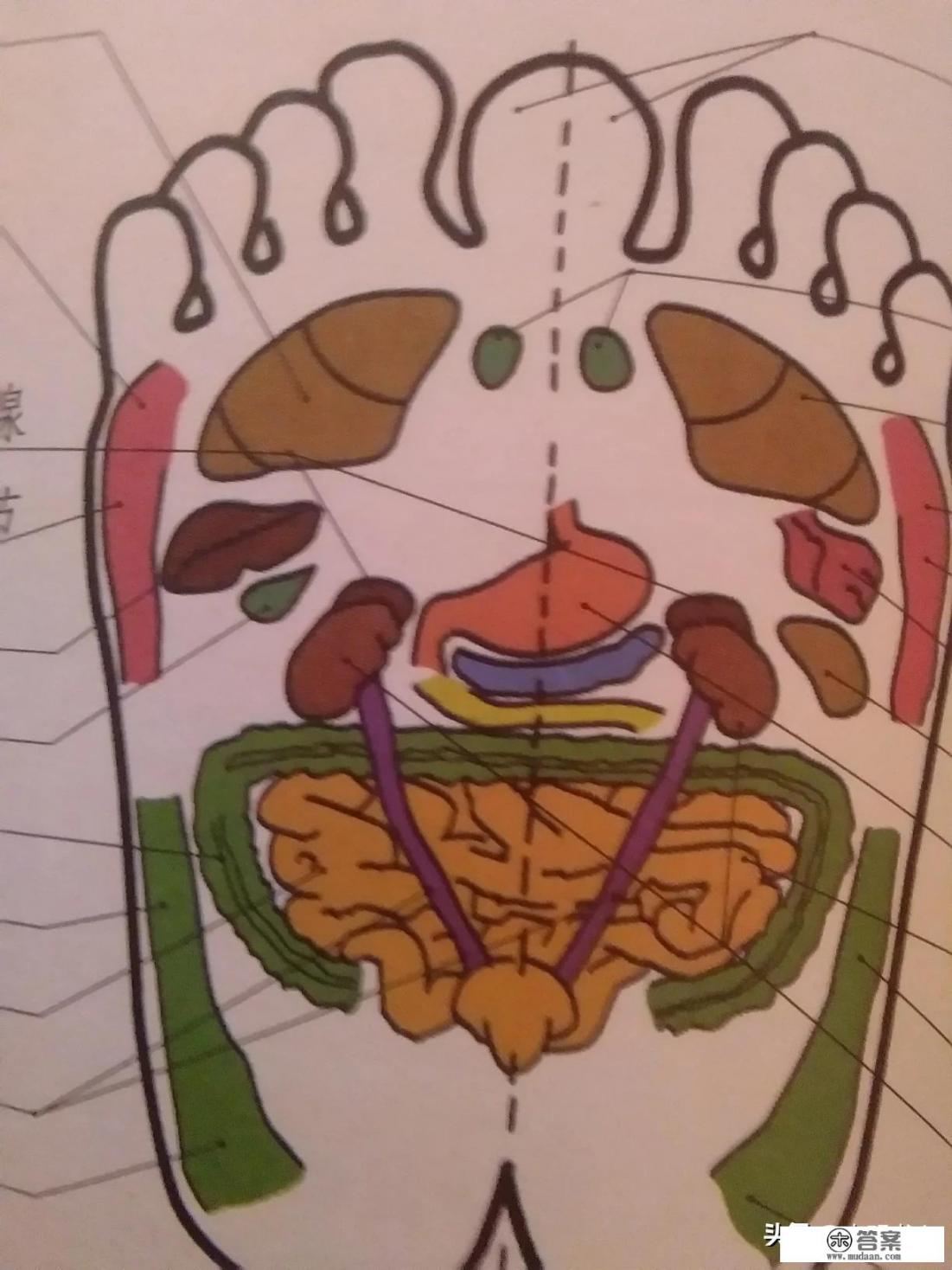 我们平常的走路对脚底穴位有没有起到按摩作用？