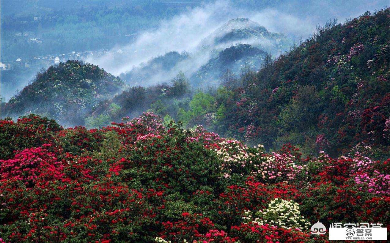 四月份去国内什么地方旅游好？