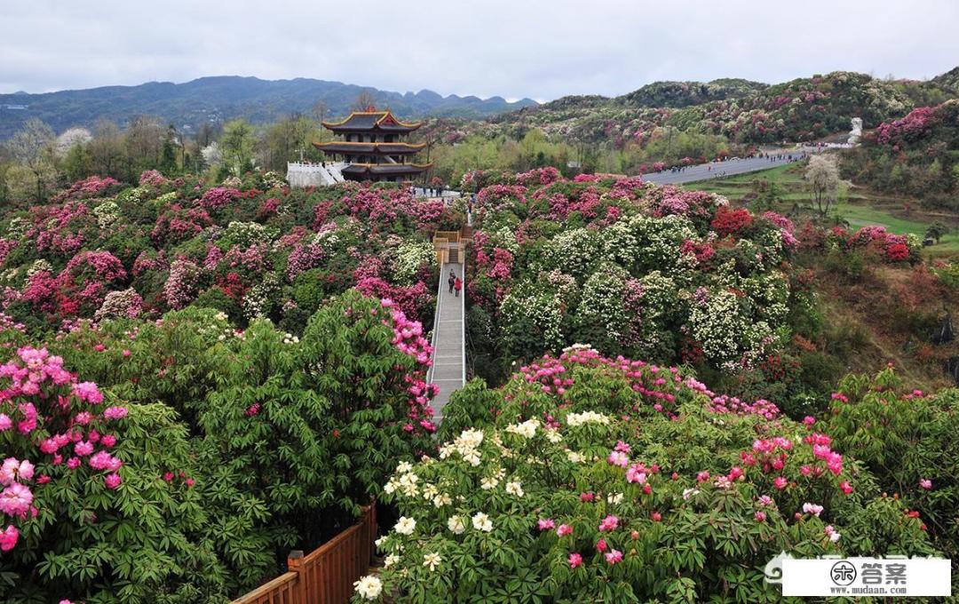 四月份去国内什么地方旅游好？