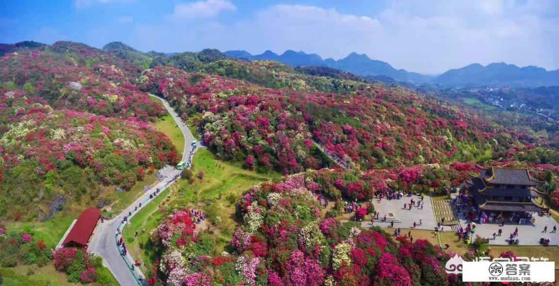 四月份去国内什么地方旅游好？