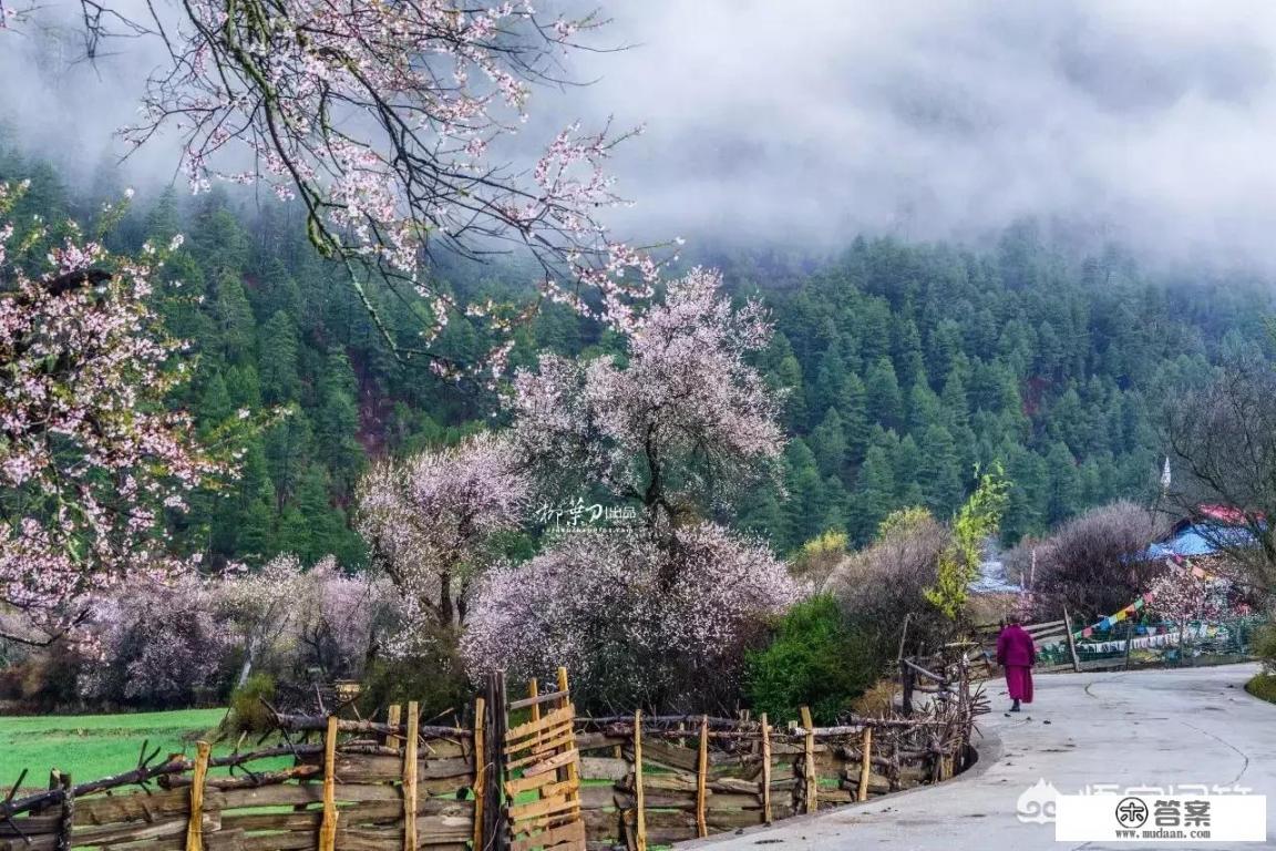 国内有哪些适合3-4月去旅行的地方？