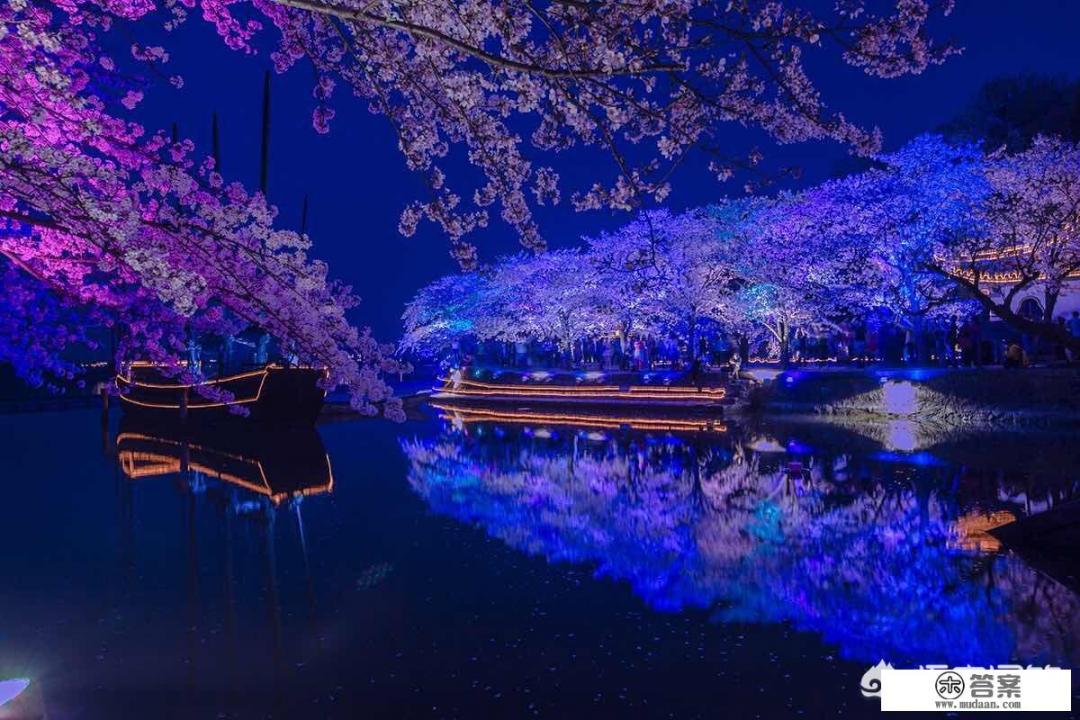 3月份有哪些温度适宜的地方适合旅游？