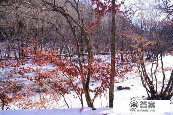 冬季必去十大旅游胜地？