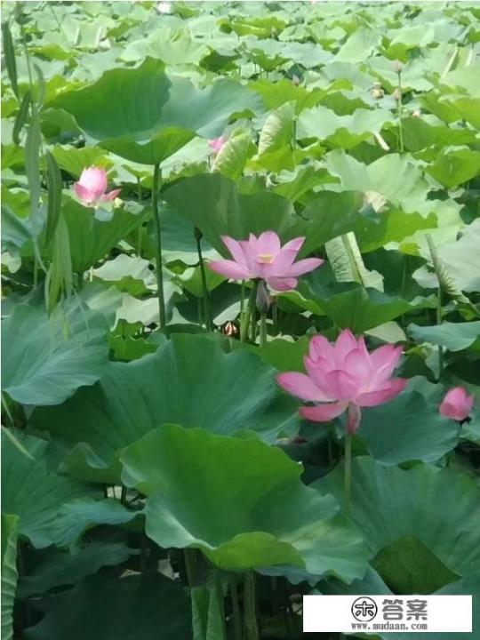 南通带娃好去处？