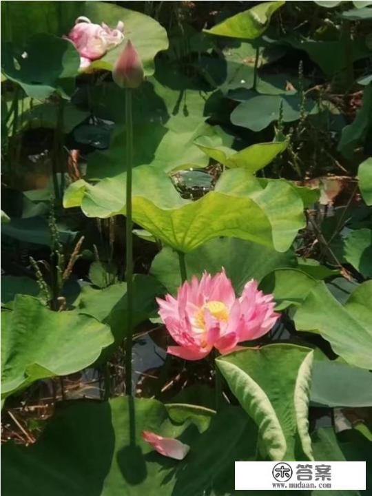 南通带娃好去处？