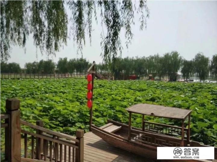 南通带娃好去处？