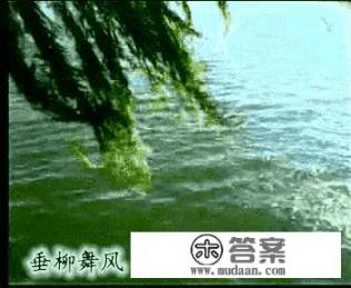 发烧5天退烧了在家隔离15天没有什么症状就没事了么？