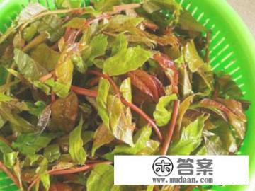 香椿拌豆腐怎么做？