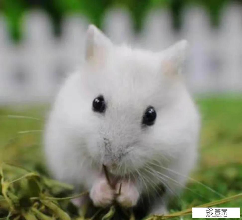 电脑挂机赚钱游戏有哪些? 电脑挂机赚钱游戏有哪些?