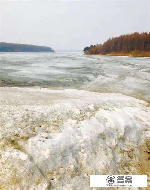 长春哪里可以看到冰凌花？