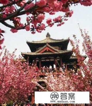 清明小长假你都去了哪些景点游玩，能推荐一下吗？