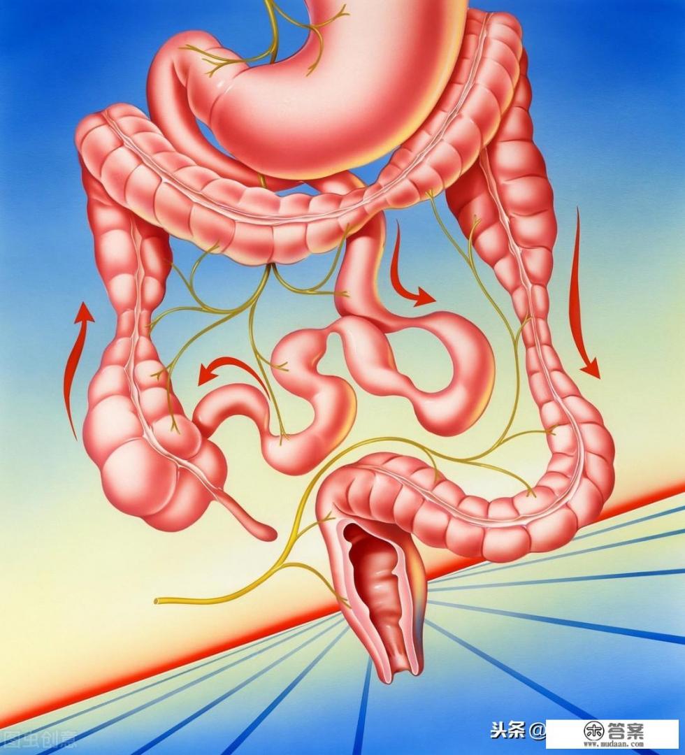 肠易激综合症是什么？