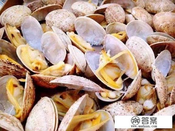 有什么便宜好吃的小海鲜?怎么做好吃? 有什么便宜好吃的小海鲜?怎么做好吃?