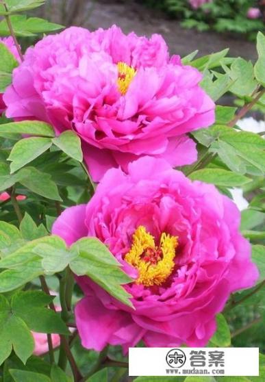 春季旅游胜地有哪些？