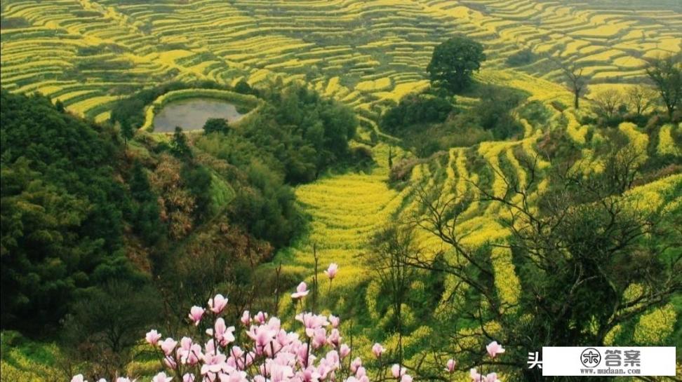 春季旅游胜地有哪些？