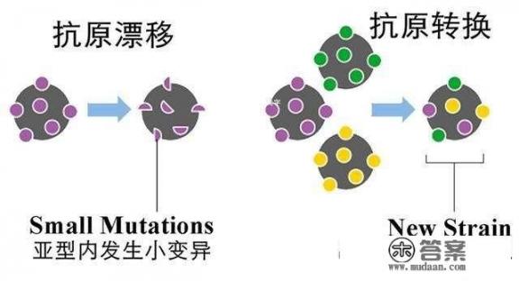 流感疫苗管多长时间,什么时候接种最好? 流感疫苗管多长时间,什么时候接种最好?