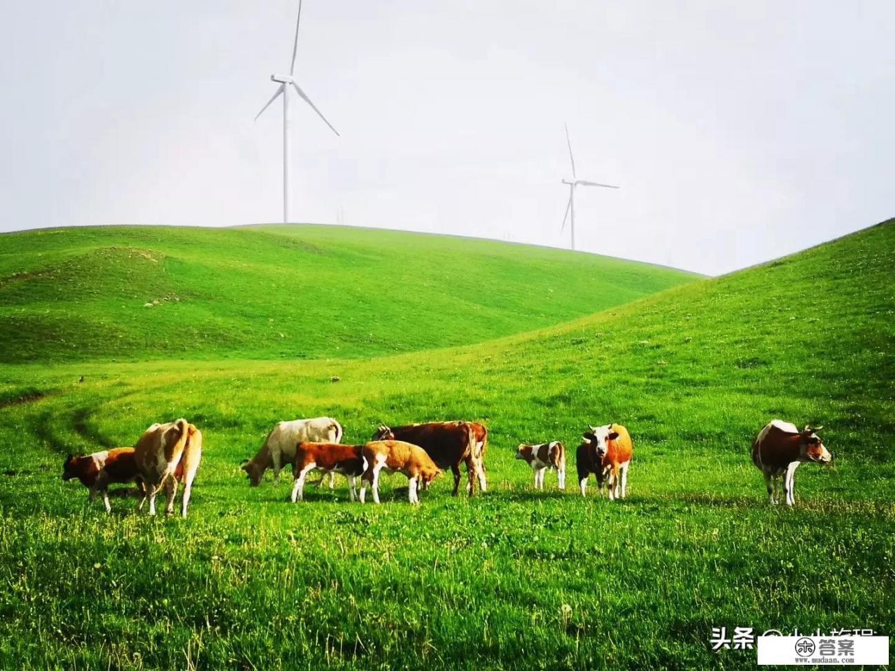 内蒙古旅游攻略，去内蒙自驾游轿车行吗？