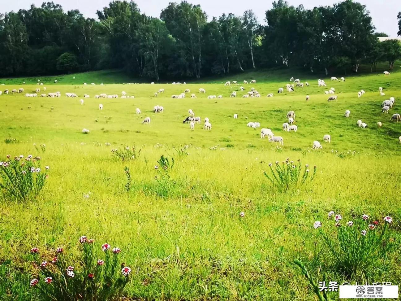 内蒙古旅游攻略，去内蒙自驾游轿车行吗？