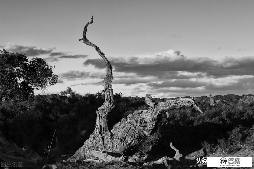 旅游一定要拍照吗？怎么看待以拍照为目的的旅游？