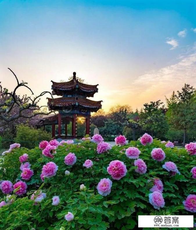 4月去哪旅游最好？