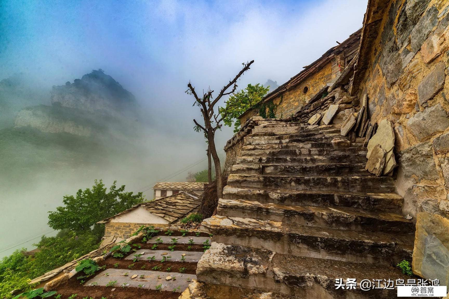 去美国旅游不回来了后果？