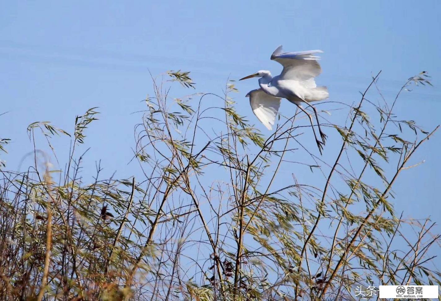 石岩湿地公园游玩攻略？