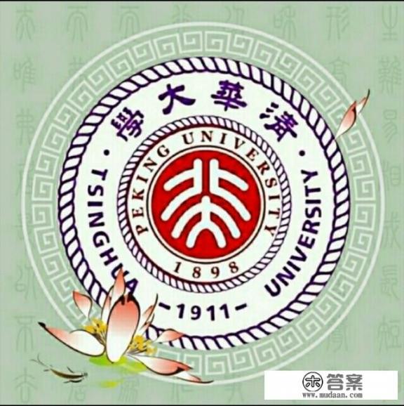 985和清华北大的学生在小学时是什么样的？