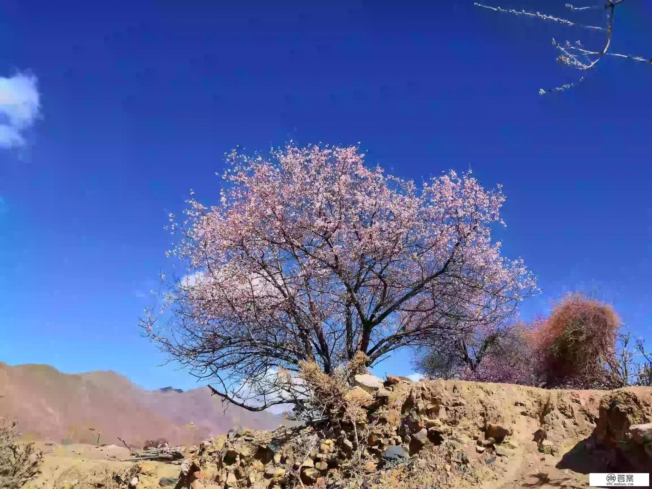 冬天十二月，西安出发自驾游，去哪里比较好？西藏、云南已经去了，有什么攻略？