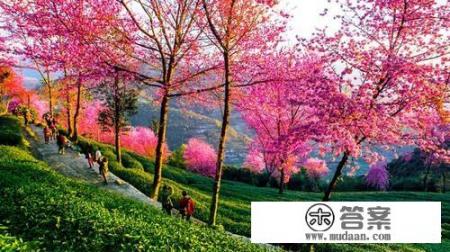 河北春季旅游景点? 河北春季旅游景点?