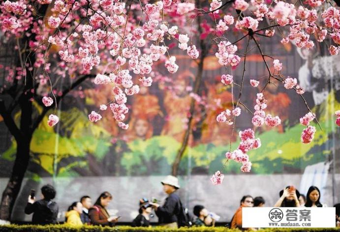 河北春季旅游景点? 河北春季旅游景点?