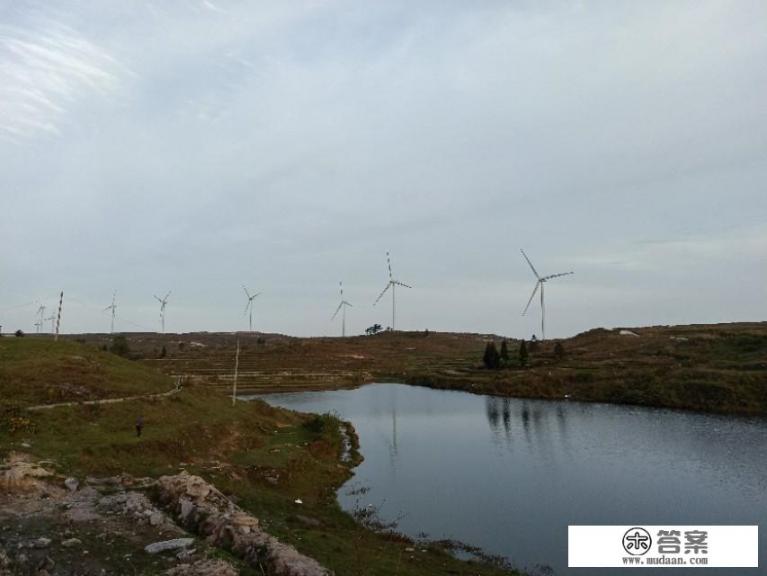 今年5.1小长假能出去旅游吗？为什么？