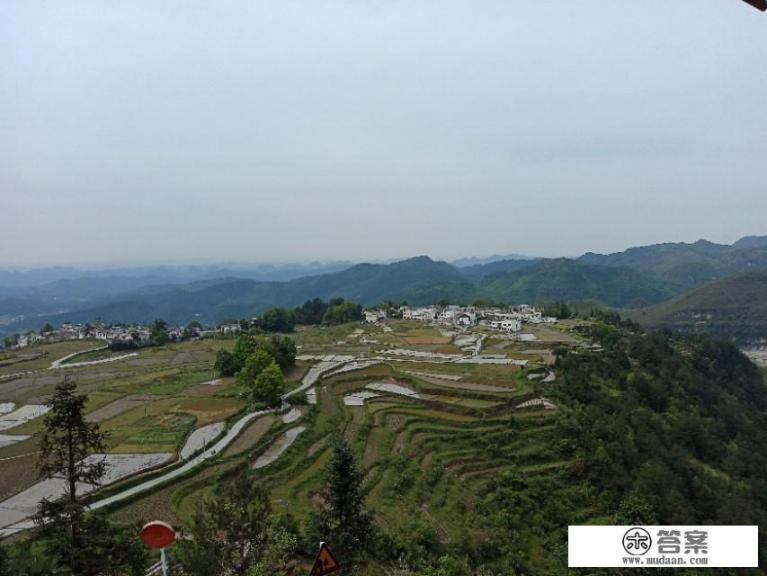 今年5.1小长假能出去旅游吗?为什么? 今年5.1小长假能出去旅游吗?为什么?