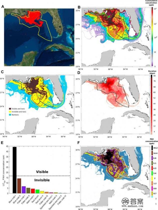 追踪蛋标记潜行蛋隐身还能看到吗? 追踪蛋标记潜行蛋隐身还能看到吗?
