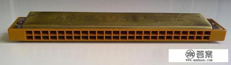 什么乐器比较容易学，并且短时间内就可以学会或者自学？