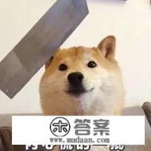 找本小说主角穿越到异界帮一个废了得剑神恢复实力然后那剑神就做了他仆人主角给他得武器他认为是神器？